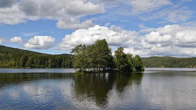 Sognsvann